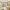 12 Swanston Place, Edinburgh, EH10 7DD - Image 6