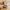 12 Swanston Place, Edinburgh, EH10 7DD - Image 5