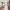 12 Swanston Place, Edinburgh, EH10 7DD - Image 4