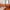 19/1 Ardmillan Terrace, Edinburgh, EH11 2JW - Image 7