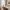 19/1 Ardmillan Terrace, Edinburgh, EH11 2JW - Image 6