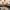 19/1 Ardmillan Terrace, Edinburgh, EH11 2JW - Image 4