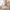 19/1 Ardmillan Terrace, Edinburgh, EH11 2JW - Image 5