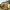 50 1F1 Spylaw Street