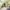 259 Guardwell Crescent, Edinburgh, EH17 7SL - Image 7