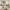 10/3 Learmonth Park, Edinburgh, EH4 1BZ - Image 3