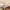 26/10 Annandale Street, Edinburgh, EH7 4AN - Image 6