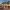 98 Tweedsmuir Drive