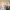 42 Tylers Acre Avenue, Edinburgh, EH12 7JE - Image 3