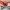 2 2F2 Seaforth Terrace, Edinburgh, EH4 2BS - Image 4