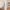 5 Grierson Gardens, Edinburgh, EH5 2AS - Image 7