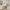 1/5 Wintour Lane, Edinburgh, EH14 6AY - Image 7