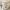 1/5 Wintour Lane, Edinburgh, EH14 6AY - Image 6