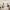 23 Bryce Crescent, Edinburgh, EH14 5LL - Image 7