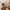 53 Nether Currie Road, Edinburgh, EH14 5HN - Image 4