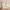 7 Craigs Park, Edinburgh, EH12 8UL - Image 6