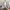 7 Craigs Park, Edinburgh, EH12 8UL - Image 5