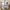 7 Craigs Park, Edinburgh, EH12 8UL - Image 4