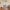 3/9 Connaught Place, Edinburgh, EH6 4QT - Image 2