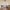3/9 Connaught Place, Edinburgh, EH6 4QT - Image 4