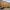 17/7 Livingstone Place, Edinburgh, EH9 1PE