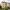 1c Niddrie Mill Place, Edinburgh, EH15 3HE