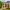 63 East Pilton Farm Wynd, Edinburgh, EH5 2GL