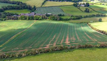 Field 2 Newmill Farm, Jedburgh