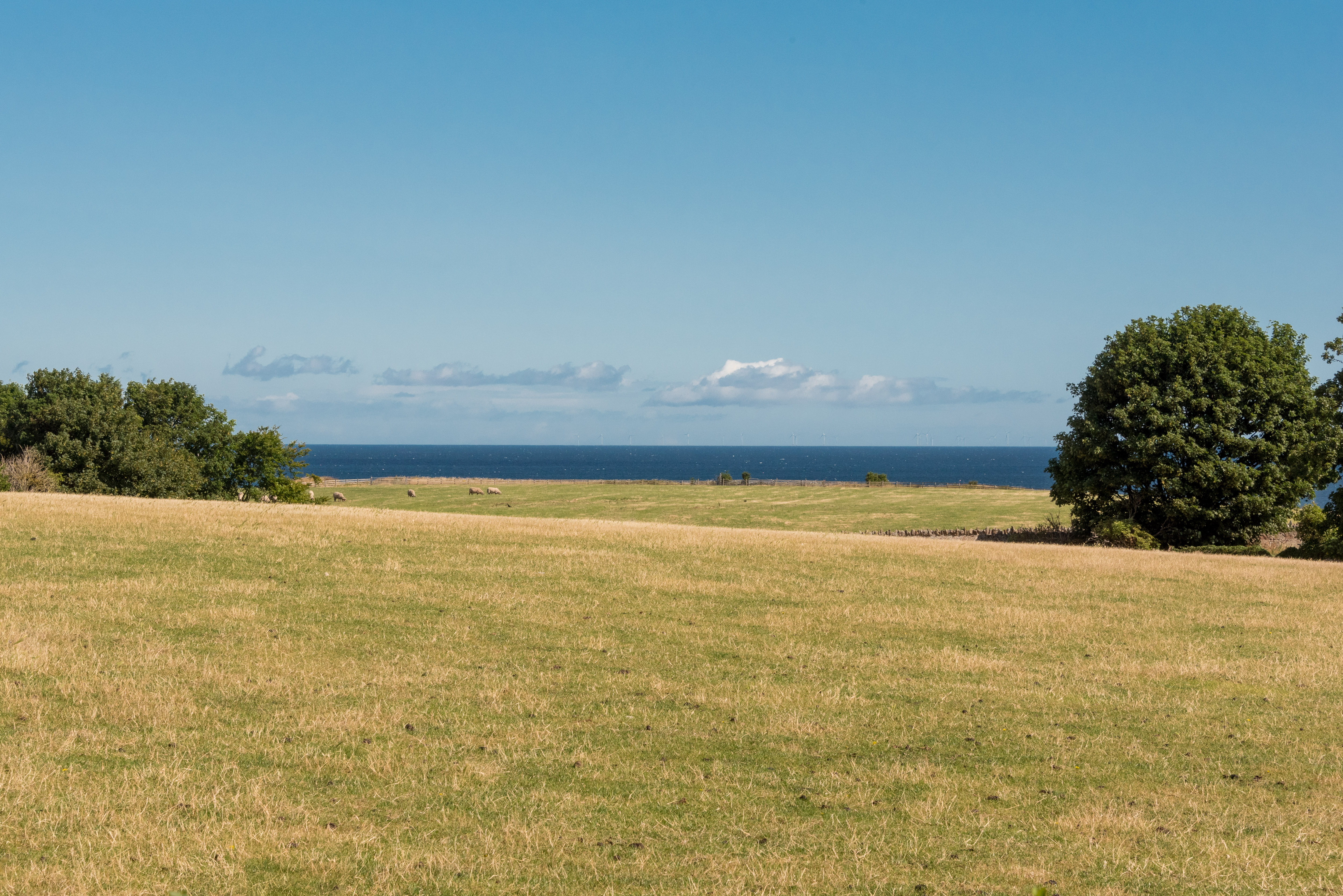 Orchard House Skateraw, Dunbar, EH42 1QR, photo 46