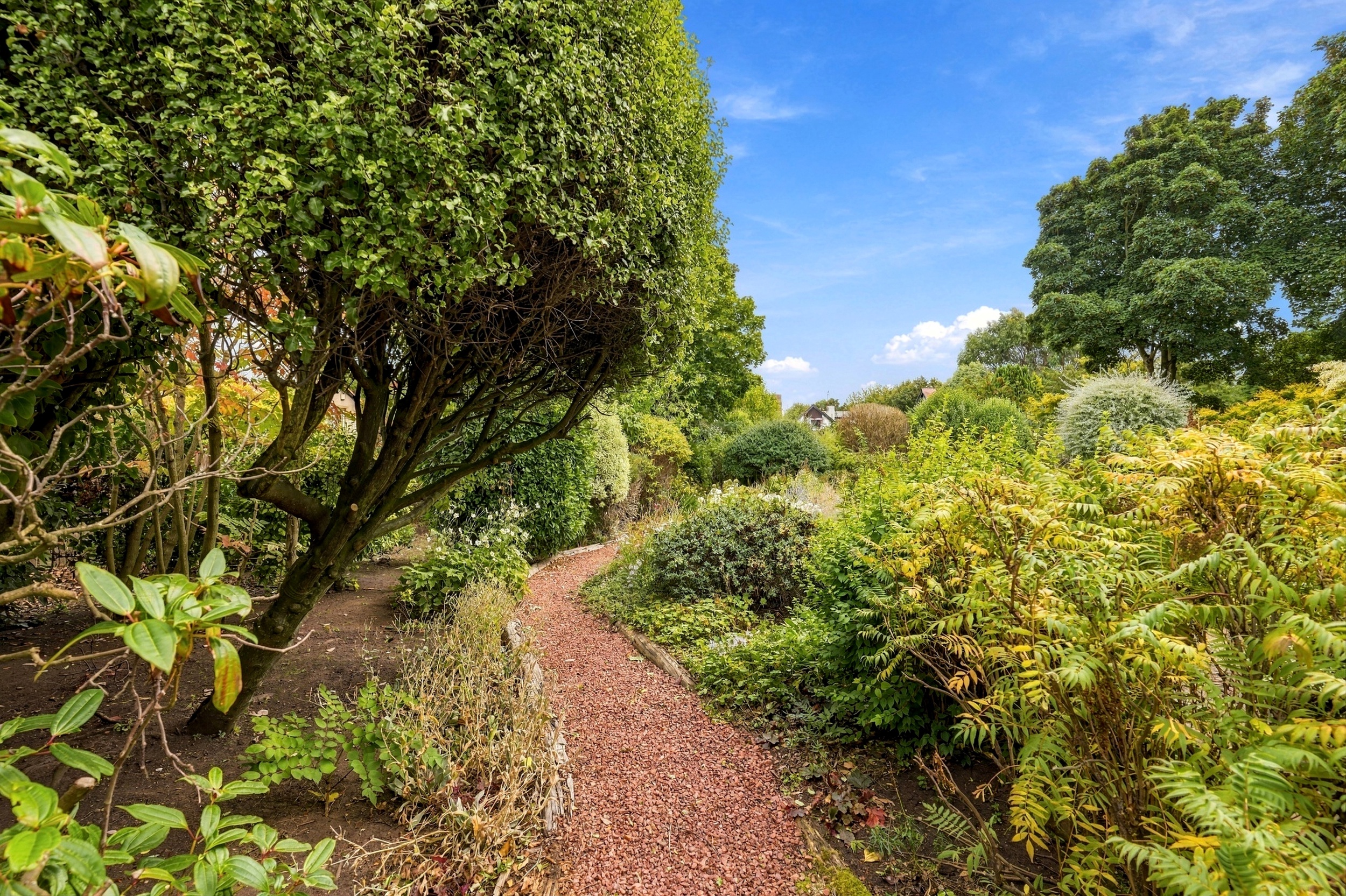 West Pines Strathearn Road, North Berwick, EH39 5BZ, photo 36