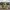 139 Craigentinny Avenue, Edinburgh, EH7 6RG