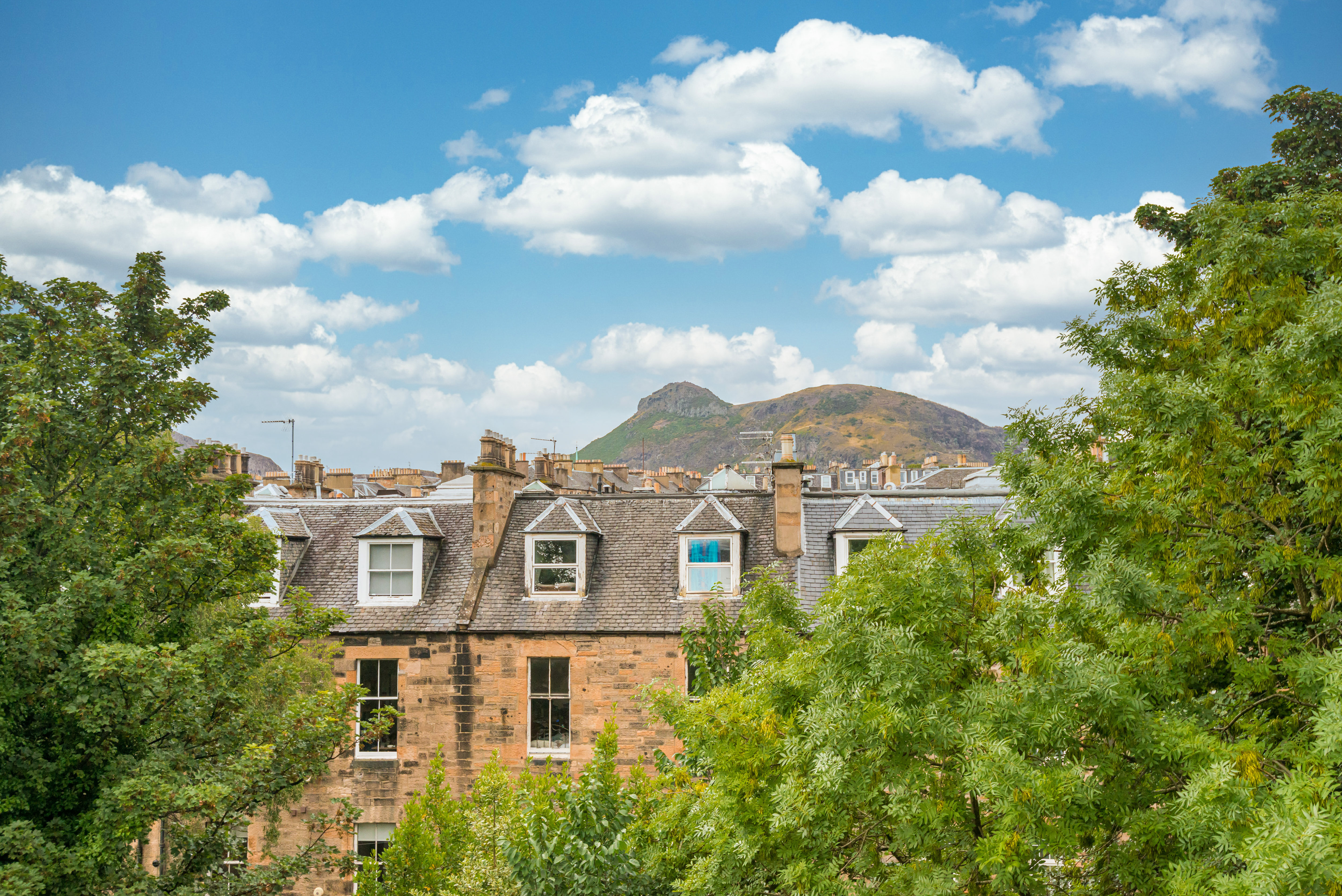 3F1 23 Blackwood Crescent, Newington, Edinburgh, EH9 1RA, photo 17