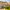 26 Bonaly Drive, Edinburgh, EH13 0HB