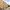 17 3F1 Dalgety Street, Edinburgh, EH7 5UN