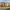 21 Greenbank Terrace, Edinburgh, EH10 5RA