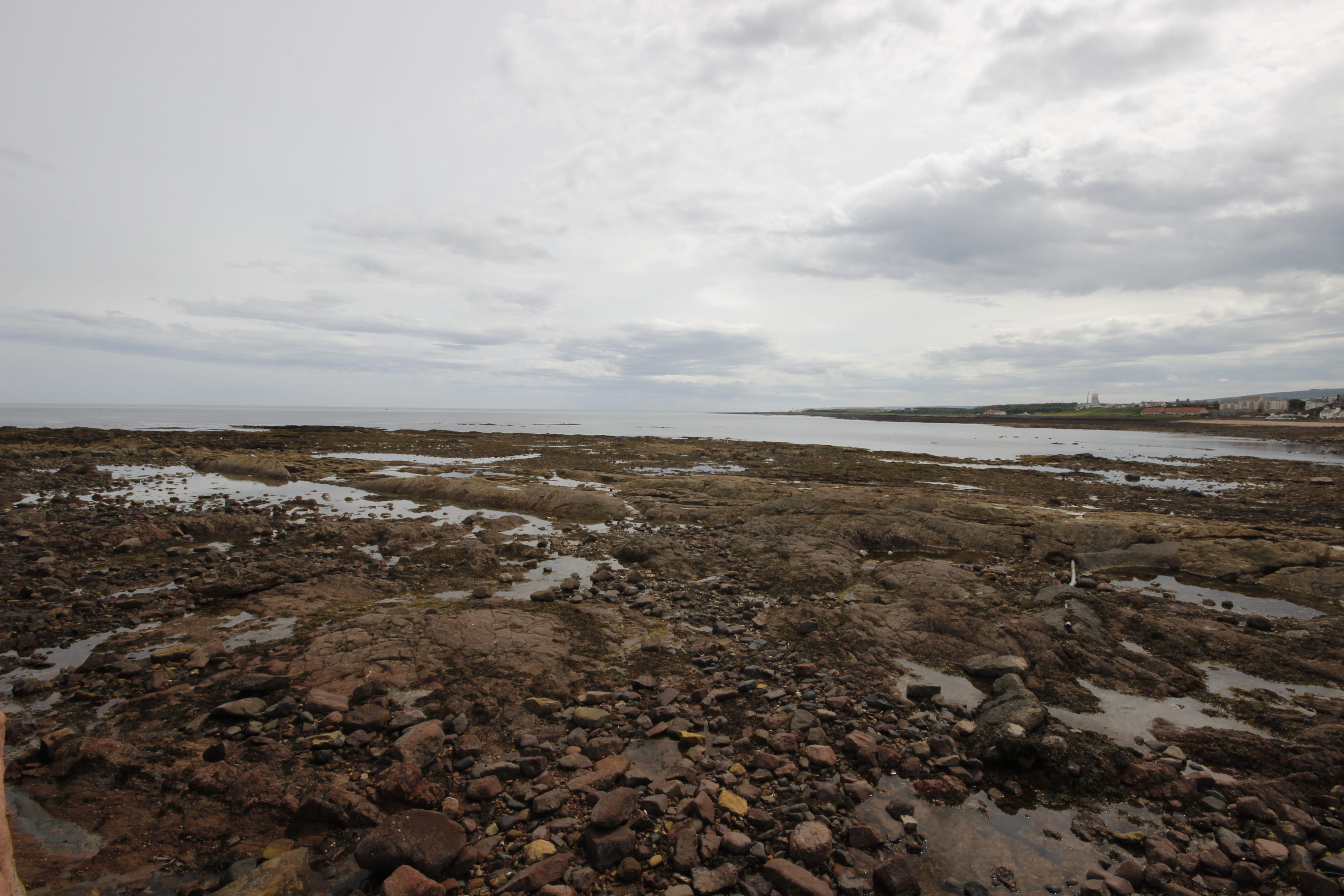 Property Detail Garden Stirling